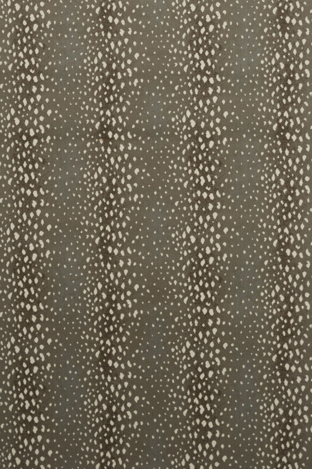081 Brass