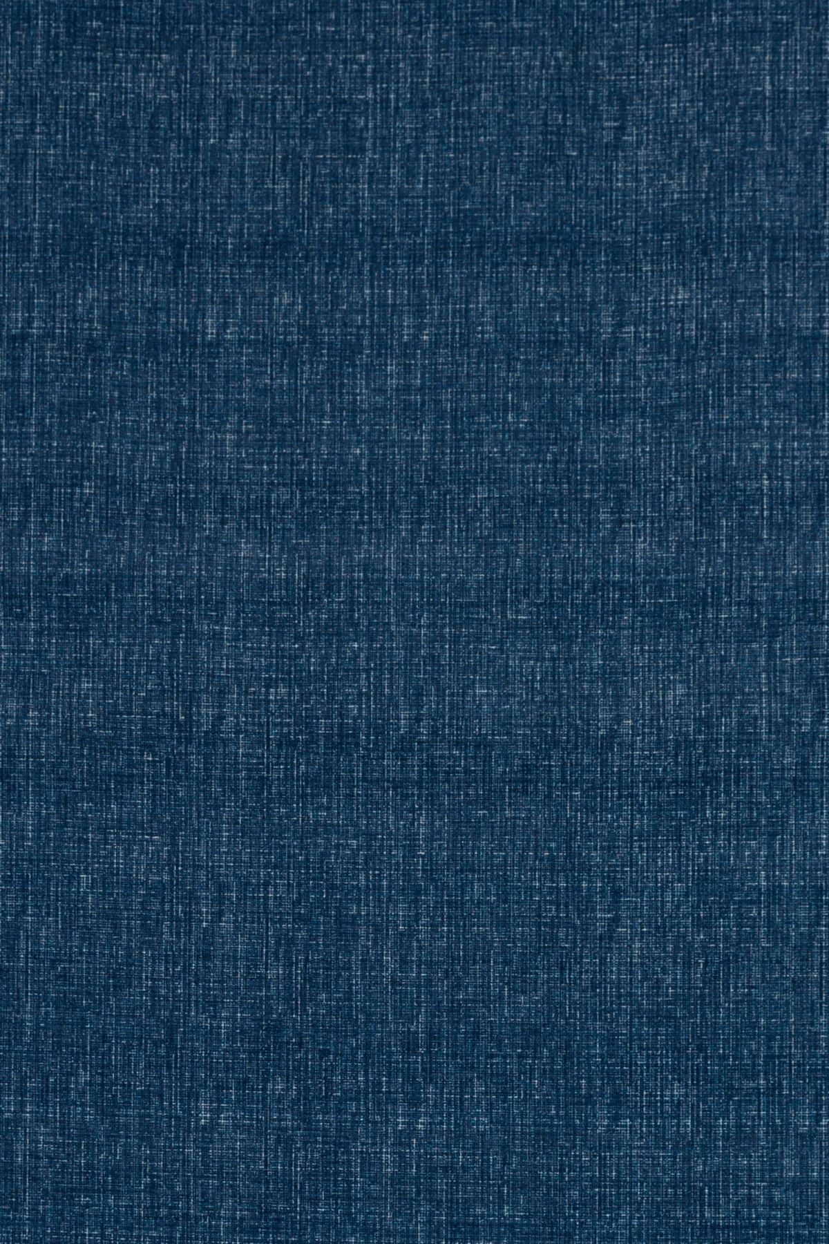 T01001650_ALT2