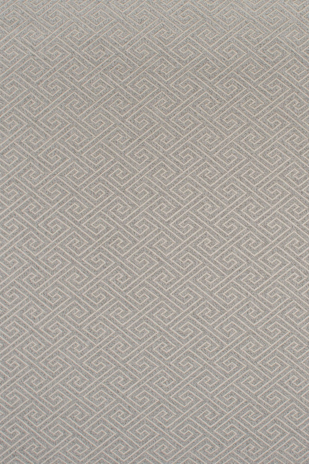 T01007271_ALT2