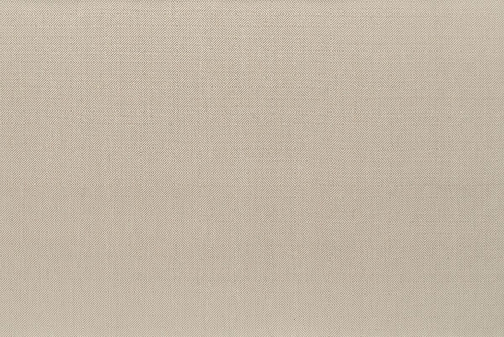 T01009168_ALT2
