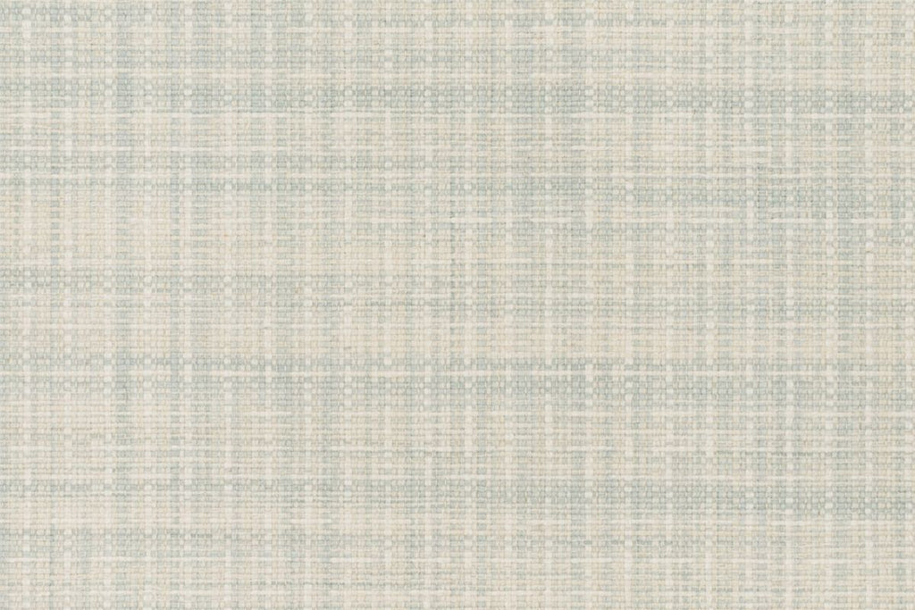T01009888_CL