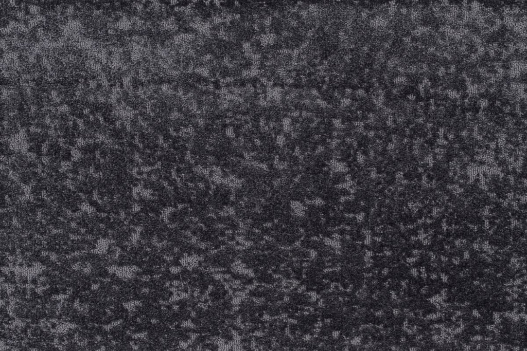T01010182_CL